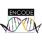 The ENCODE Project