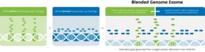 Blended Genome Exome