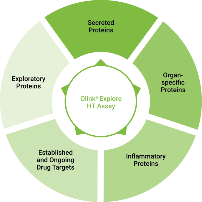 Olink Explore HT Assay protein types- Exploratory, Drug targets, Inflammatory, Secreted, Organ-specific