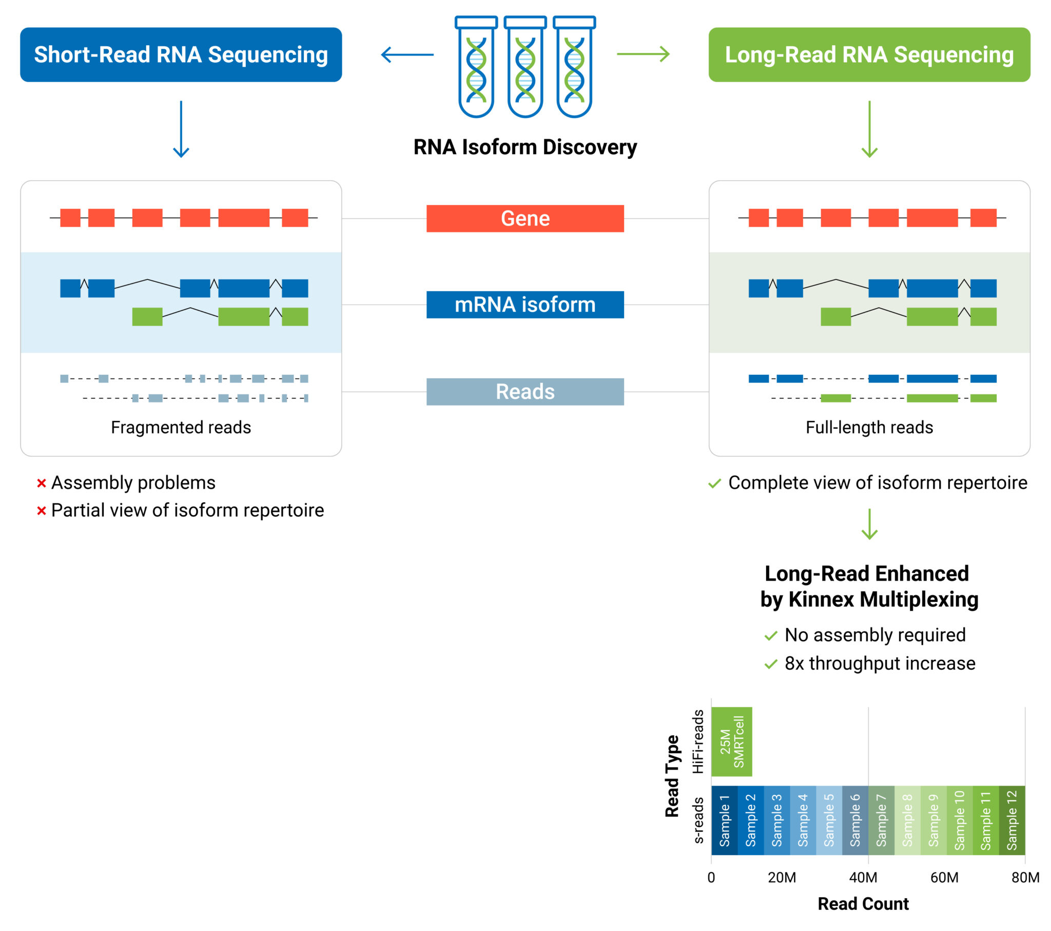 Long-read RNA Isoform Sequencing provides a complete view of isoform repertoire, unlike Short-read RNA Sequencing